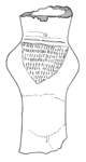 L_W12c2418 A12.0030 J720 cw